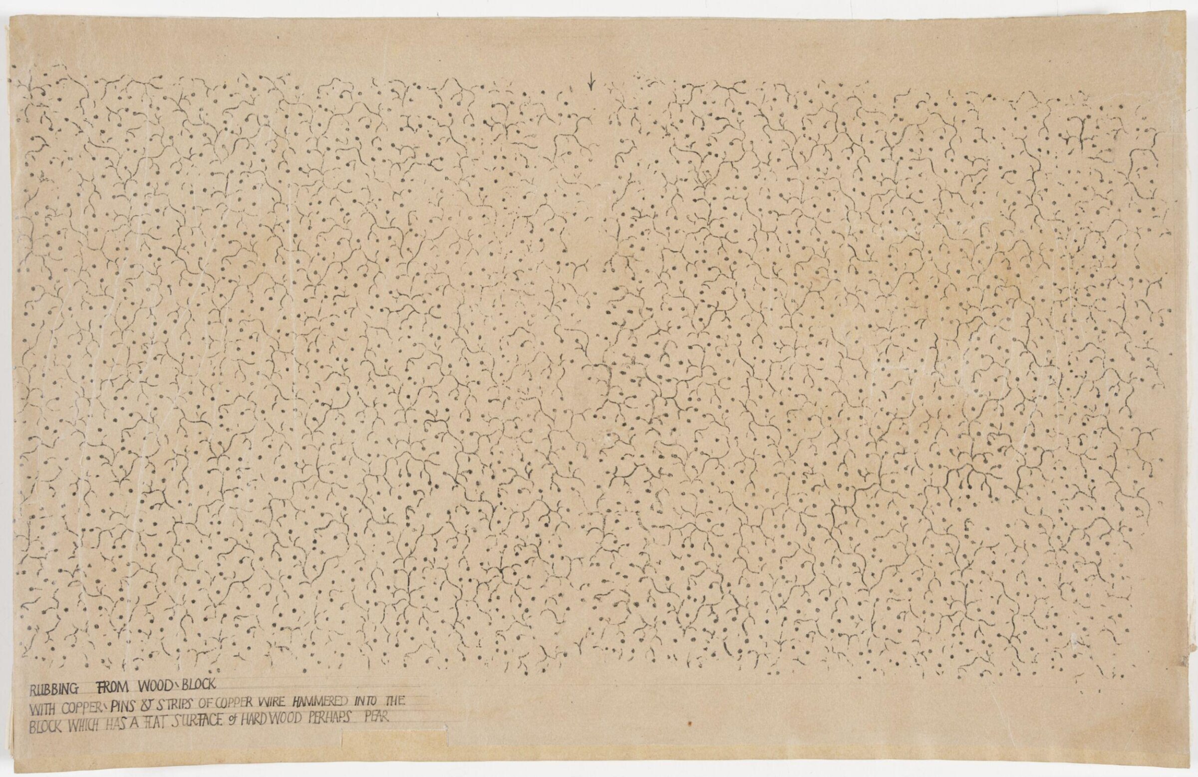 Impression from a wooden printing block, showing highly stylized stems with small fruits., Albert Edward Hayes, 19th century