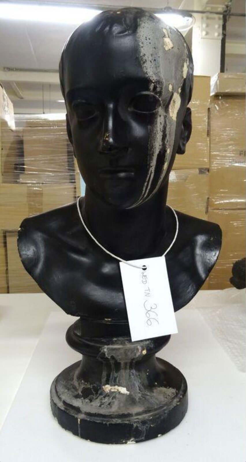 Bust