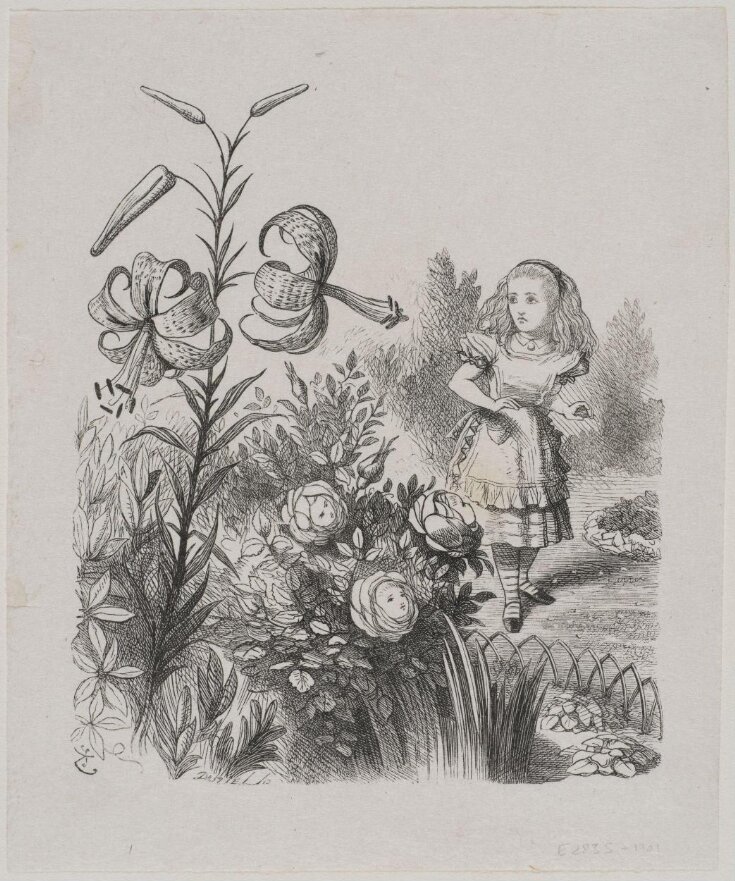 Alice and the Flowers image