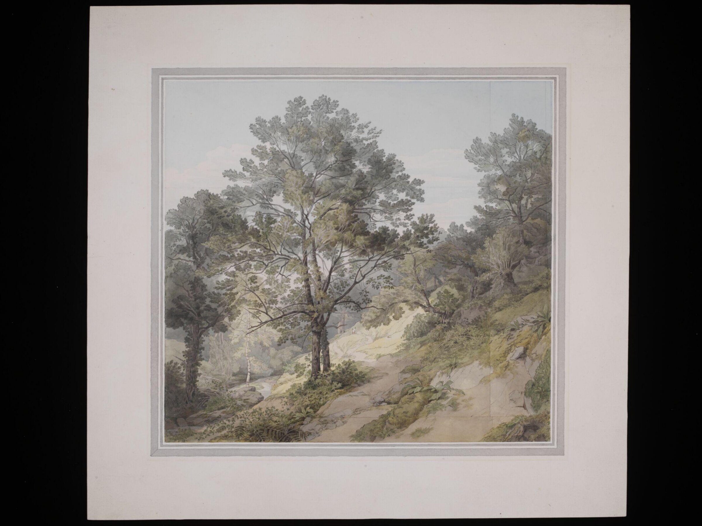 View near Canonteign, Devon, John White Abbott, 1804