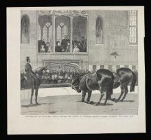 Performance by Hengler's Circus Before the Queen at Windsor - Trained Horses Saluting the Queen thumbnail 1