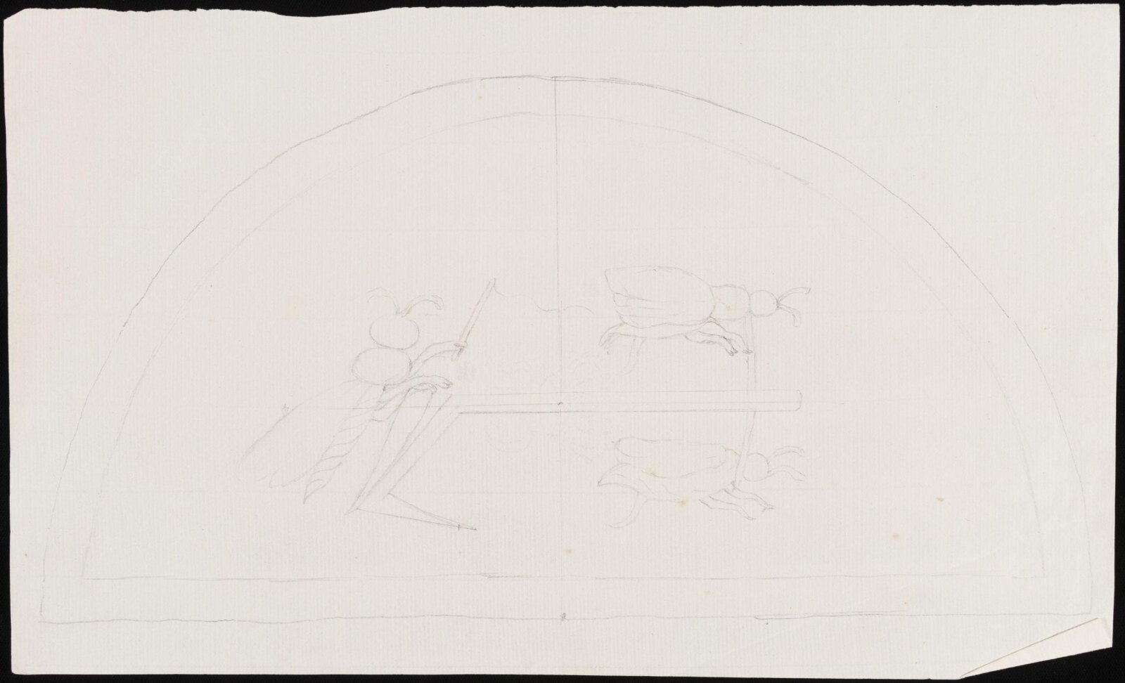 Insects, 1800 - 1810
