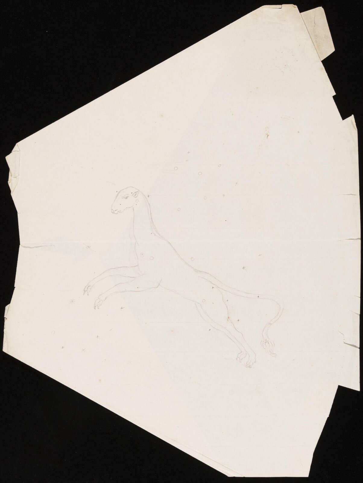 Leopard-like creature representing a constellation, 1800 - 1810