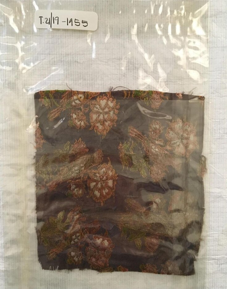 Woven Silk Fragment top image