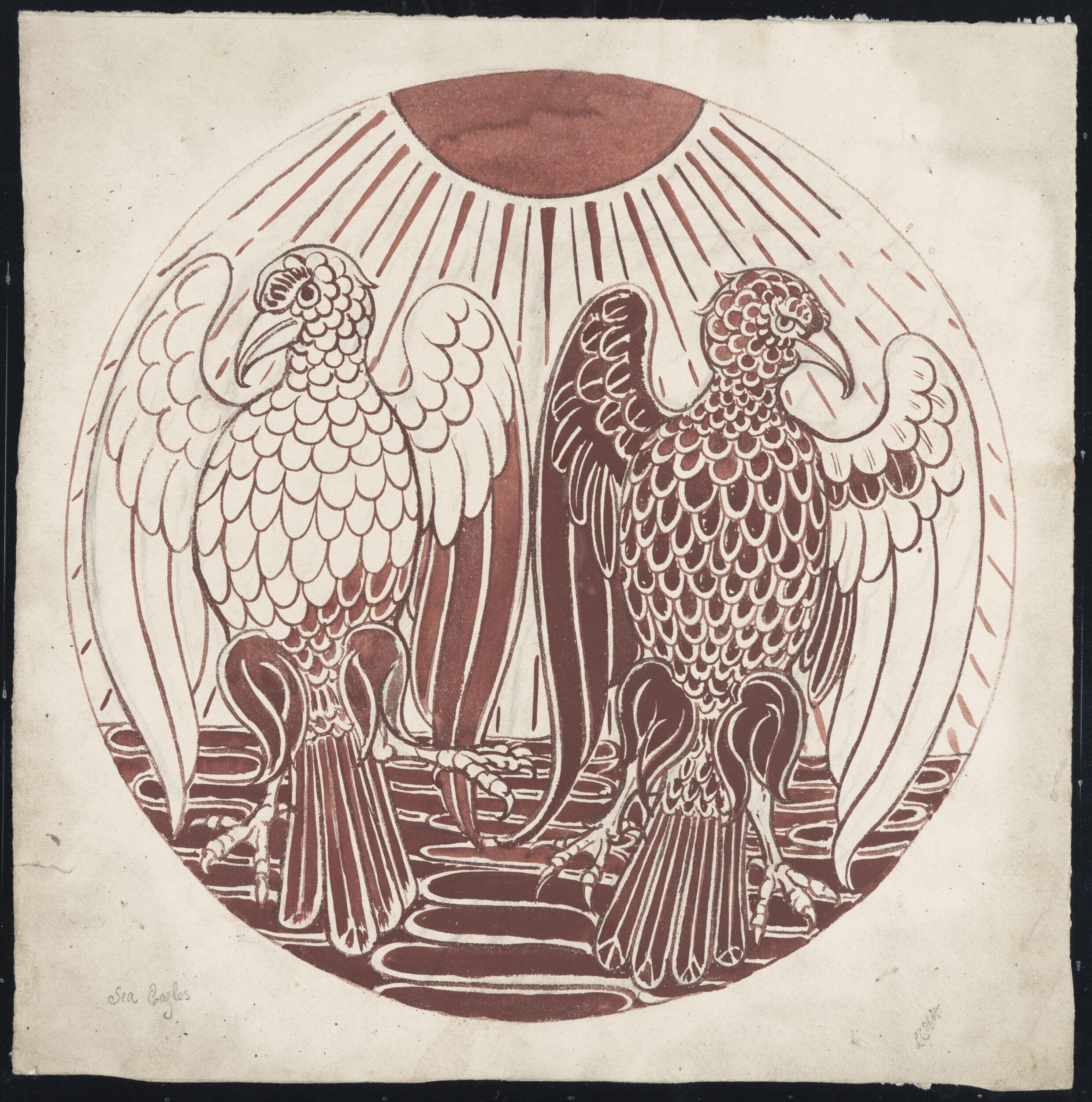 Sea Eagles
