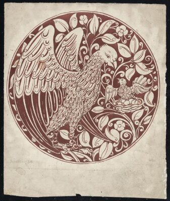 Frightened bird