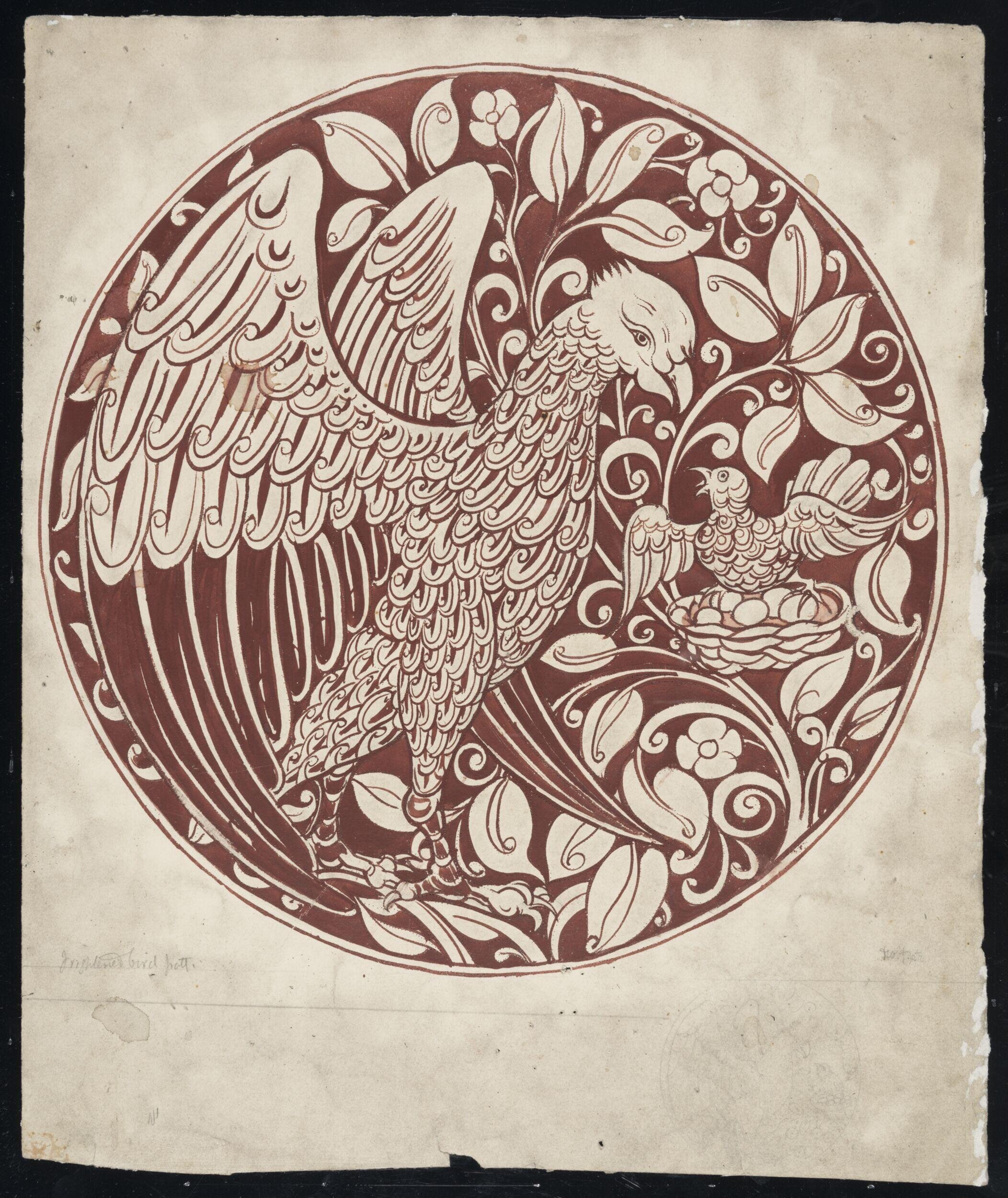 Frightened bird