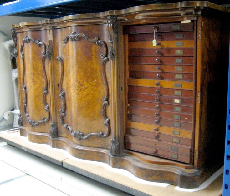 Specimen Cabinet top image