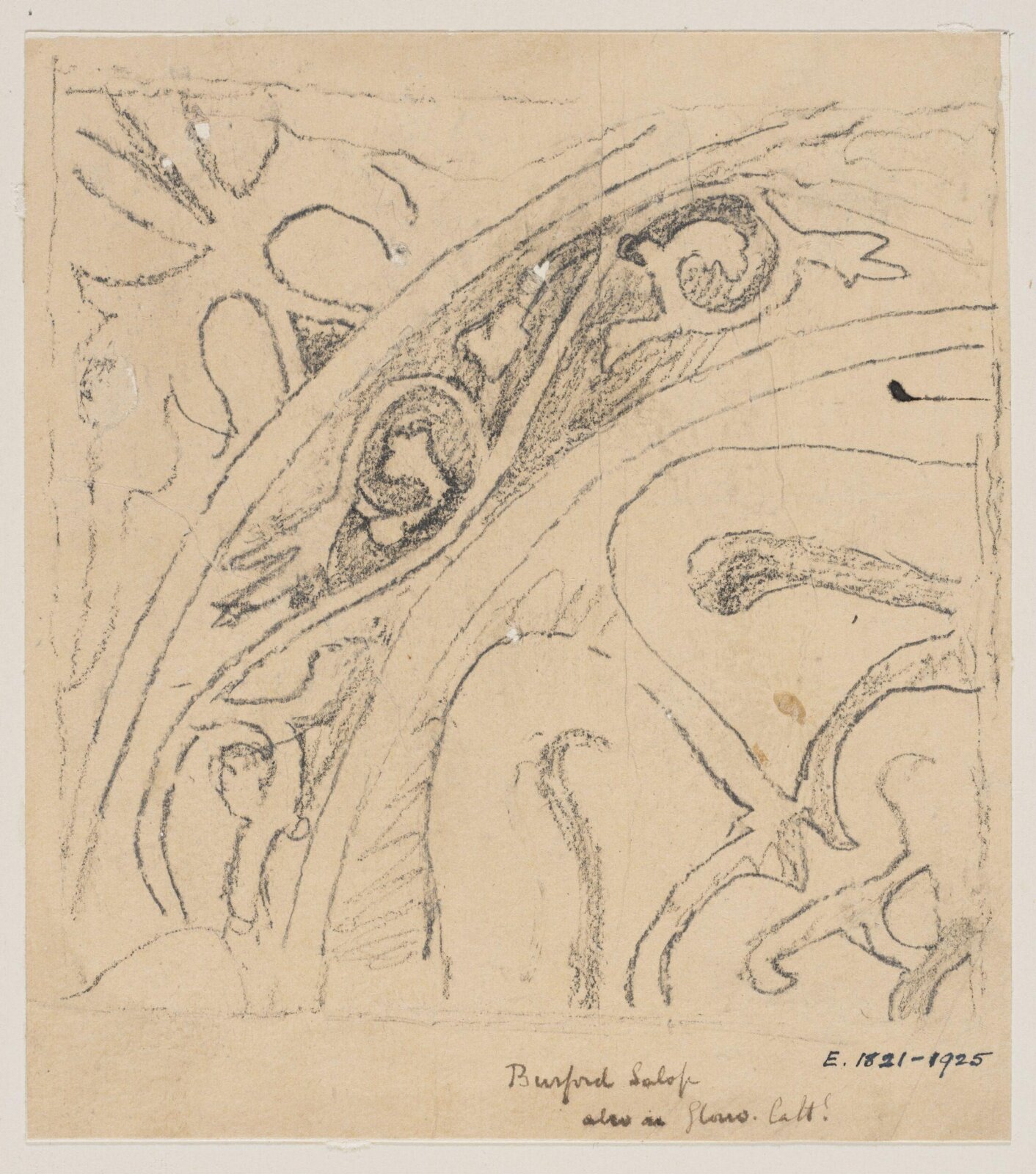 Drawing, Augustus Franks, ca. 1850-1897