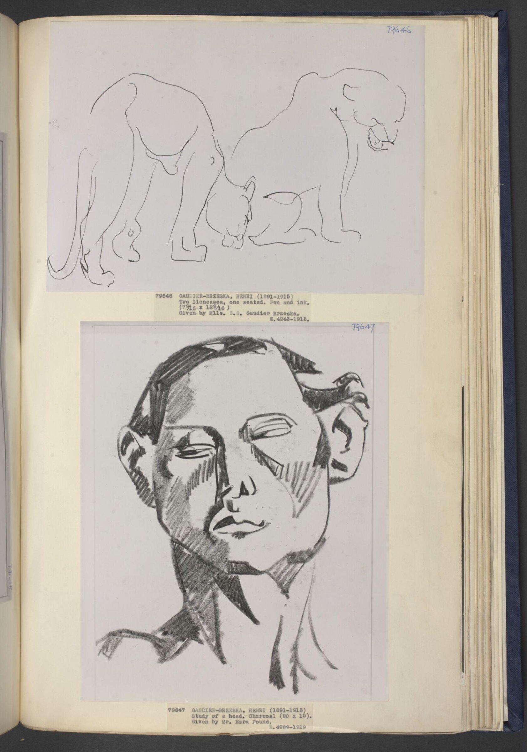 Studies of male and female figures, heads, hands, &c., Henri Gaudier-Brzeska