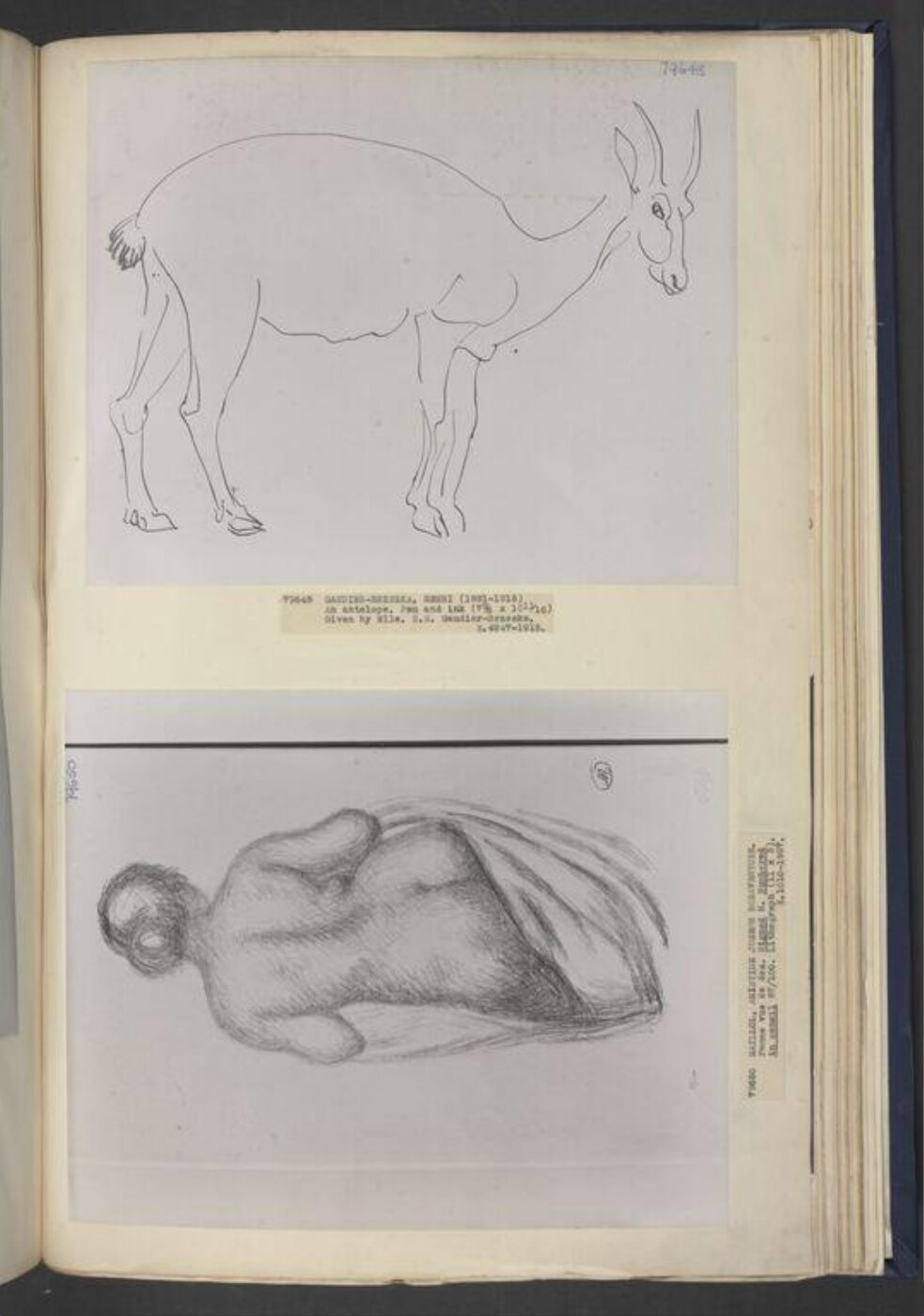 Henri Gaudier-Brzeska, Drawing