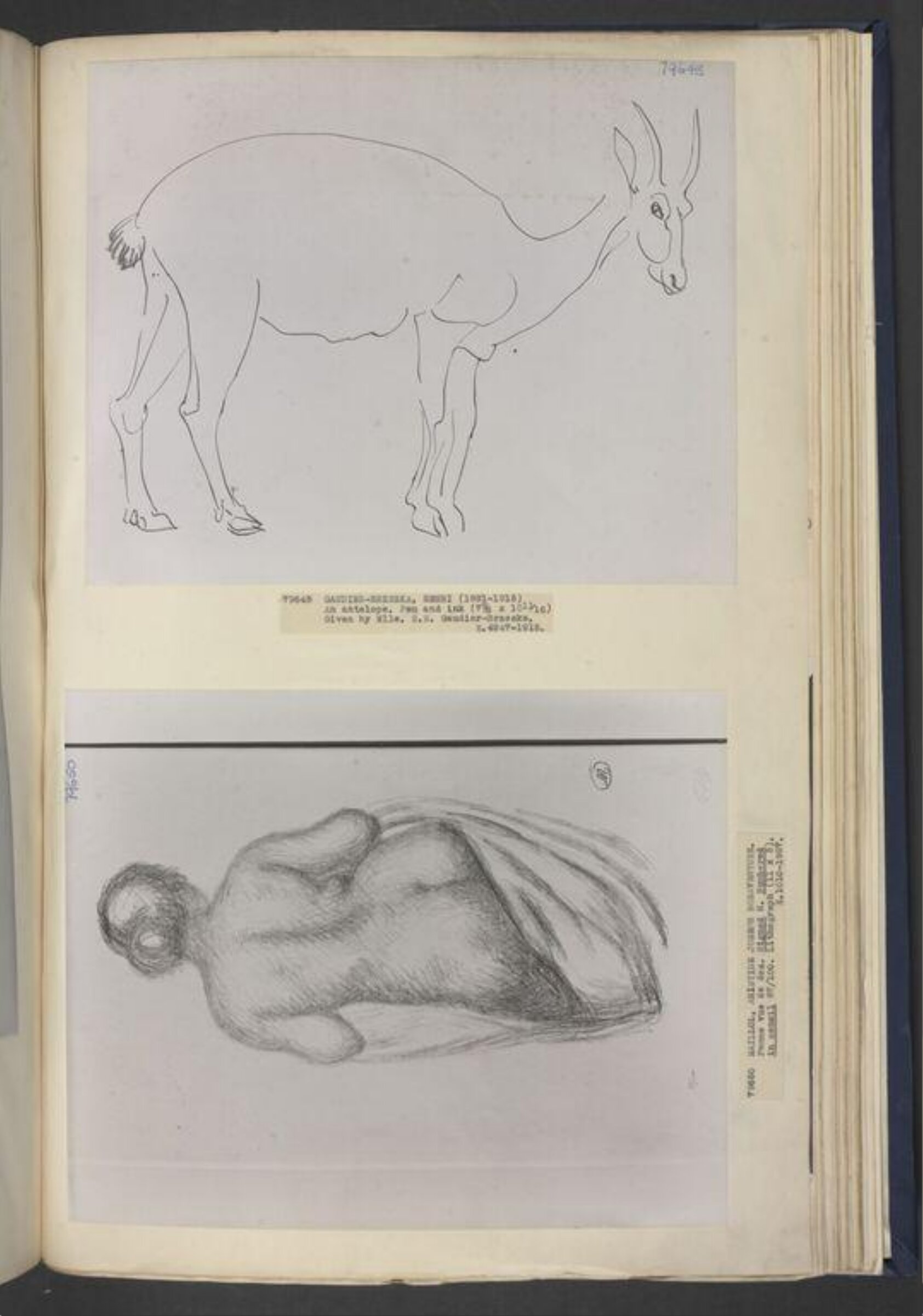 Drawing, Henri Gaudier-Brzeska, 1910-15