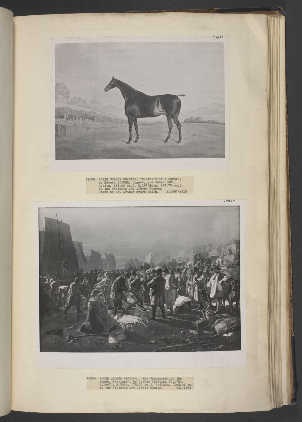 Edwin Cooper, Portrait of a horse