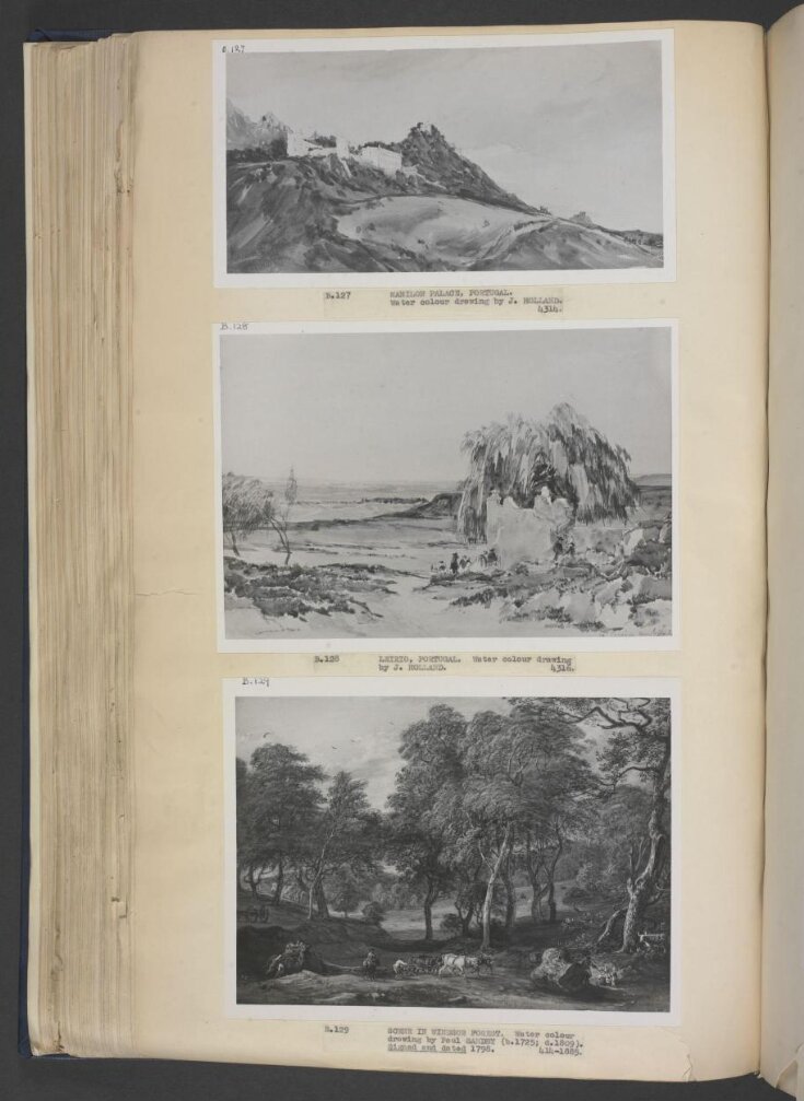 Windsor Forest with oxen drawing timber top image