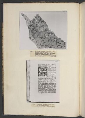The story of the Glittering Plain which has also been called the Land of the Living Men or the Acre of the Undying / written by William Morris