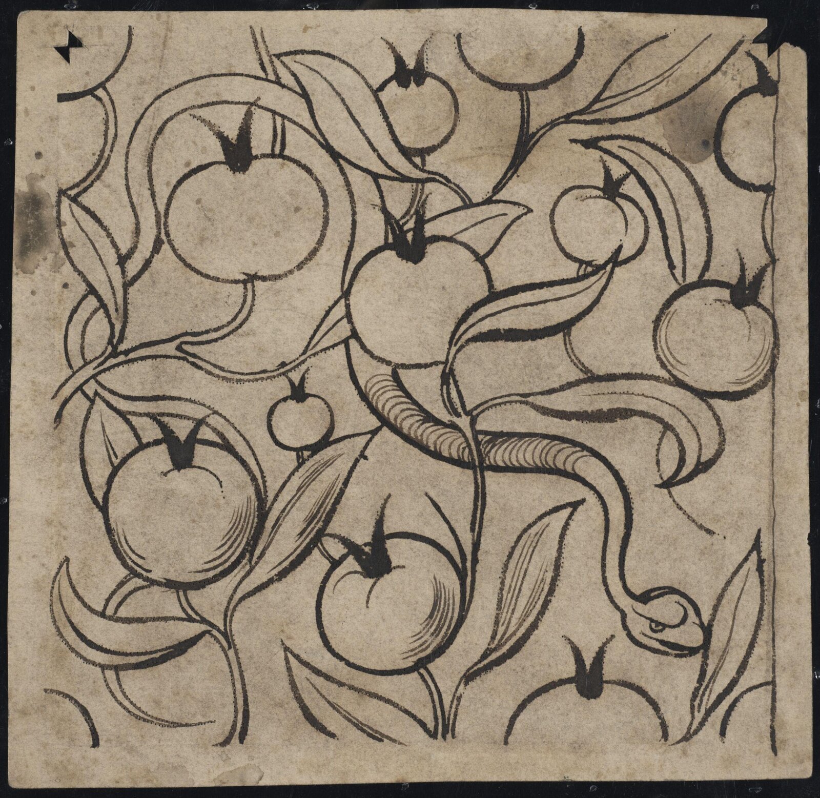 Drawing