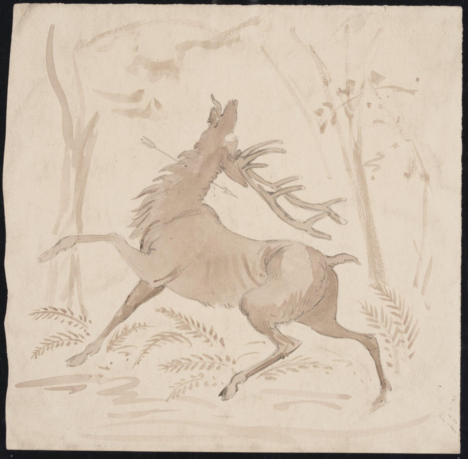 Drawing