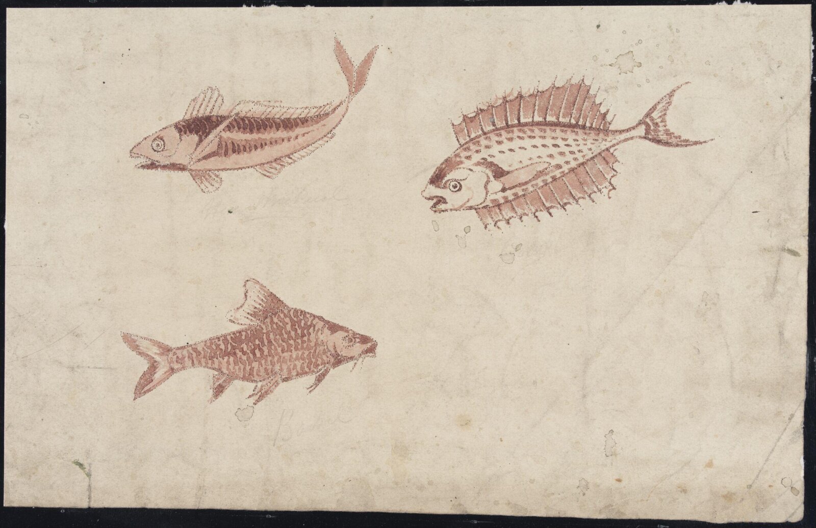 Drawing, William De Morgan, late 19th century