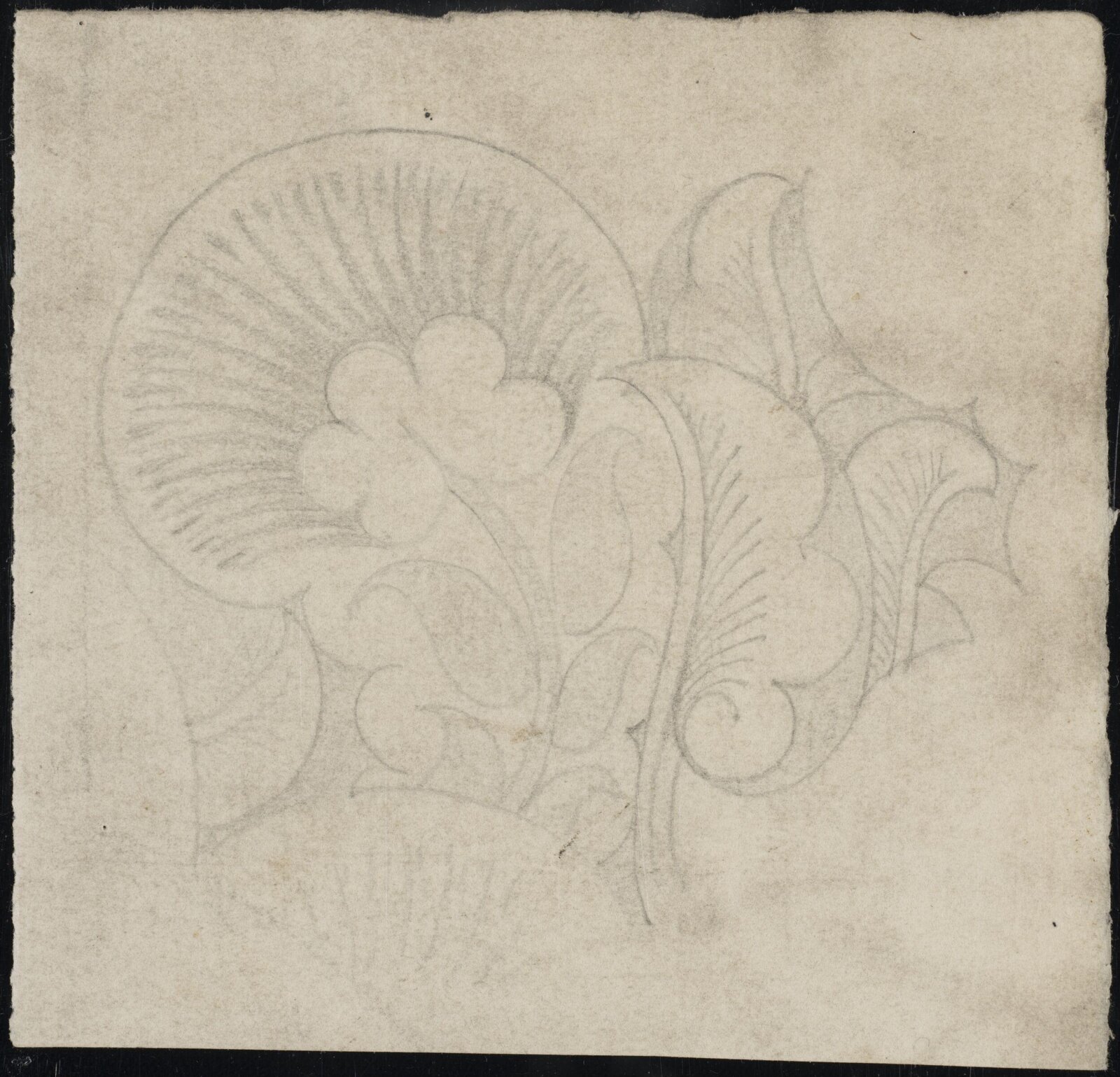Drawing