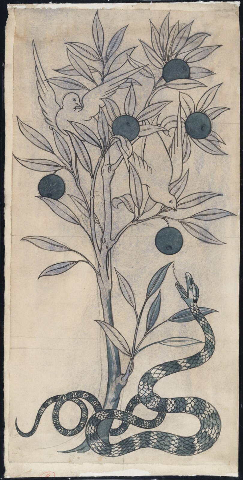 Drawing