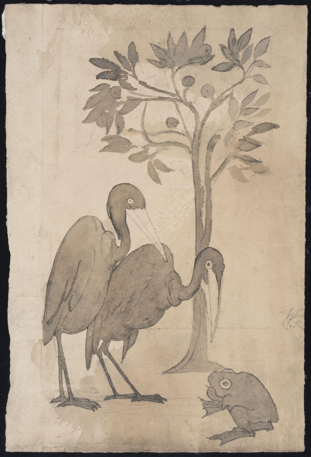 Drawing