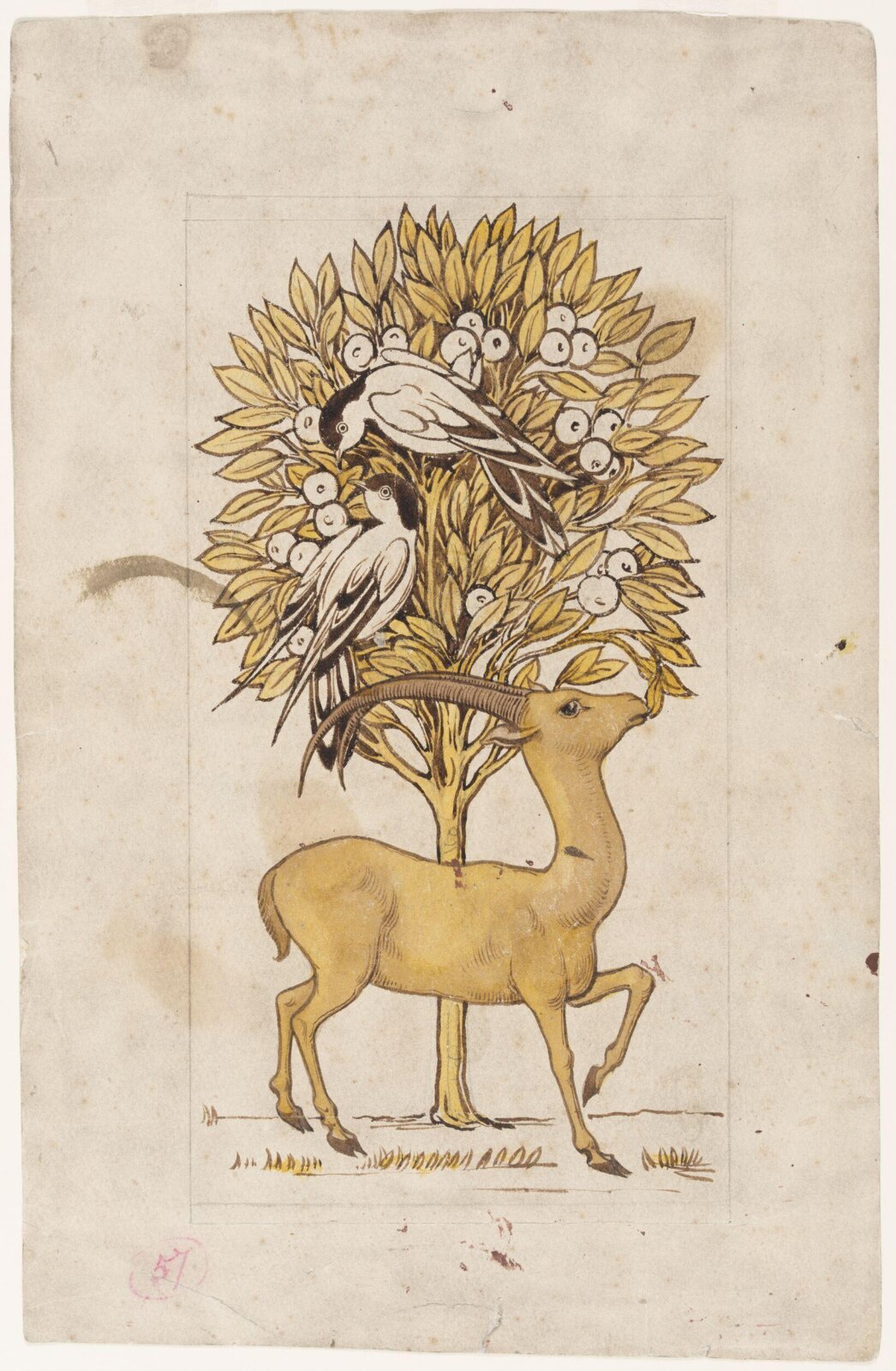 Drawing