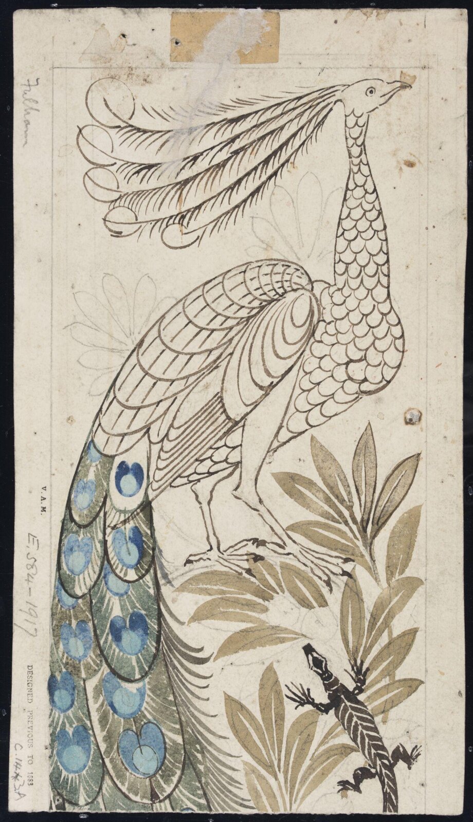 Drawing