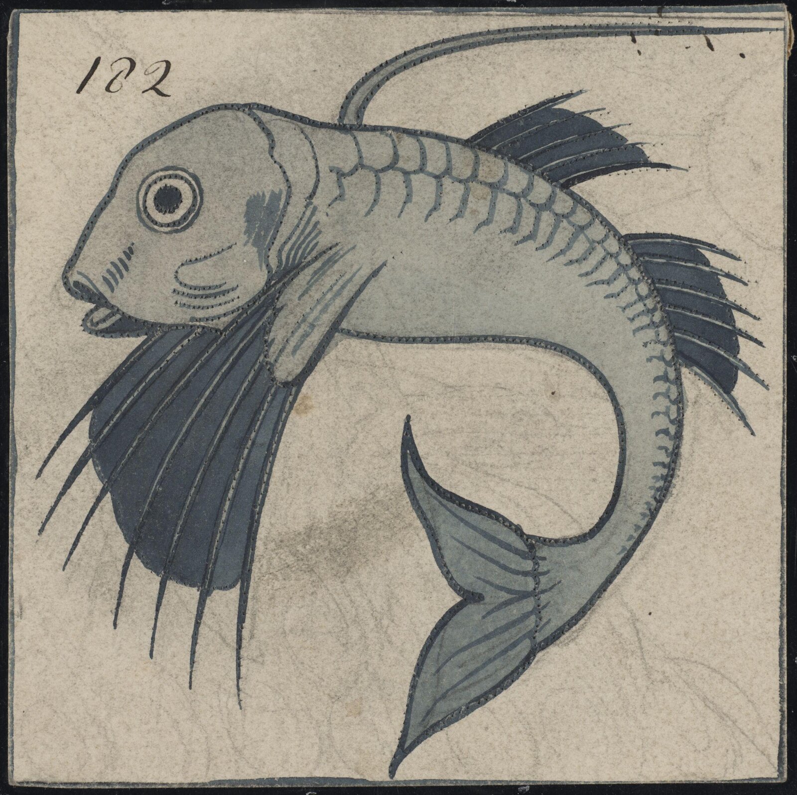 Drawing