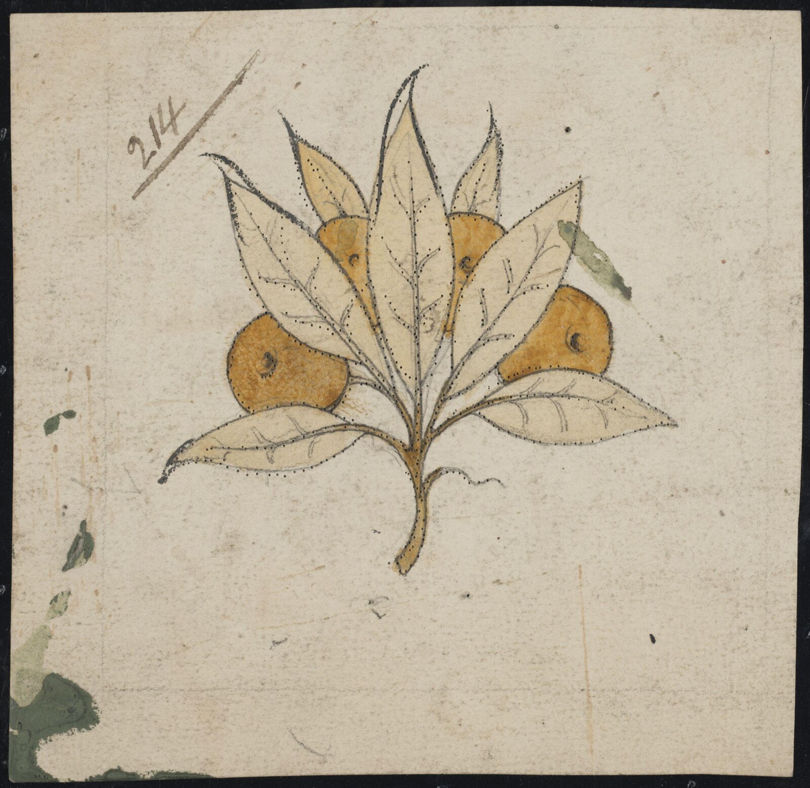 Drawing