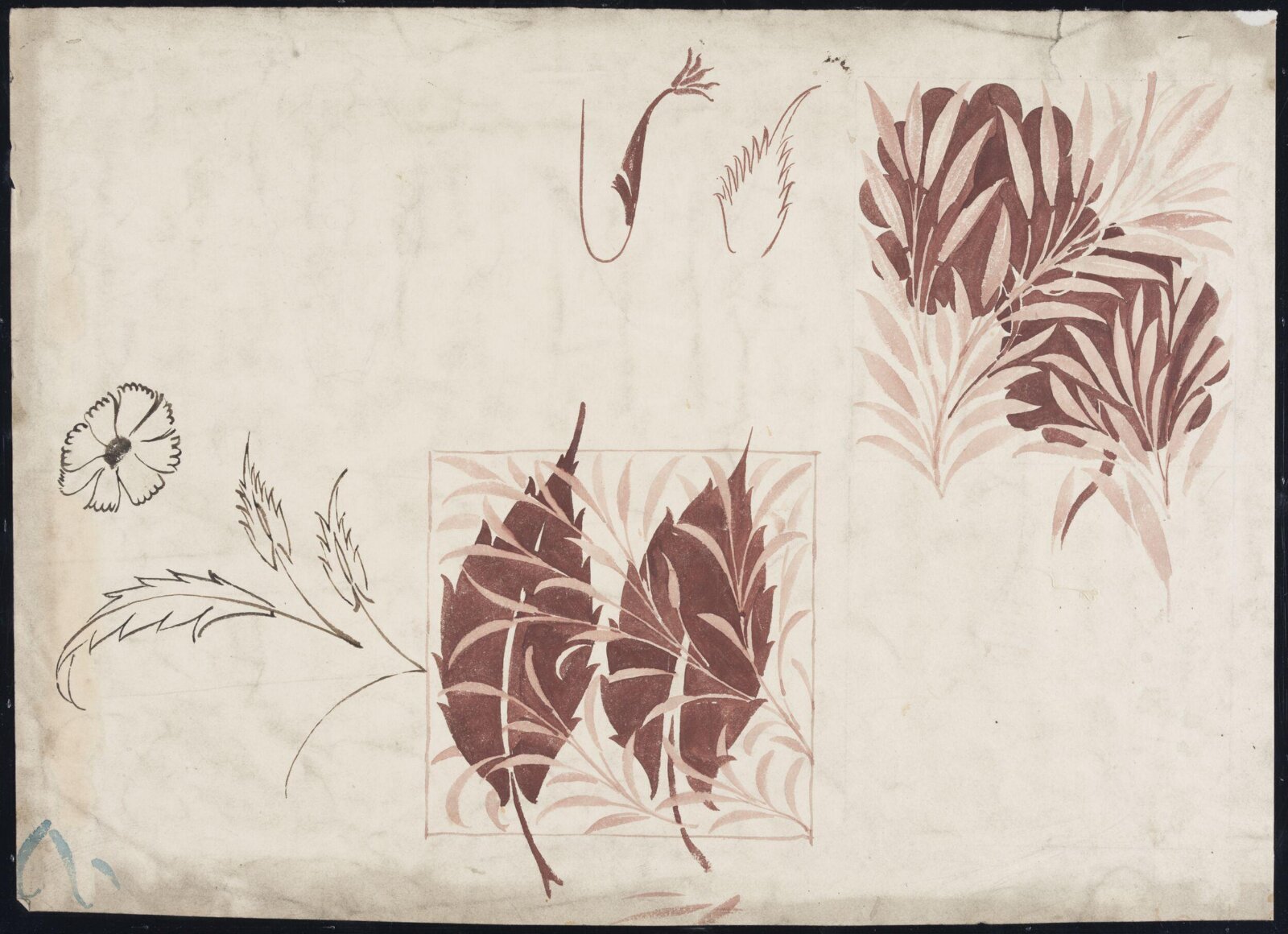 Drawing