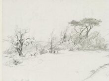 Ashdown Forest background (where it all happened) thumbnail 1