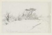 Ashdown Forest background (where it all happened) thumbnail 2