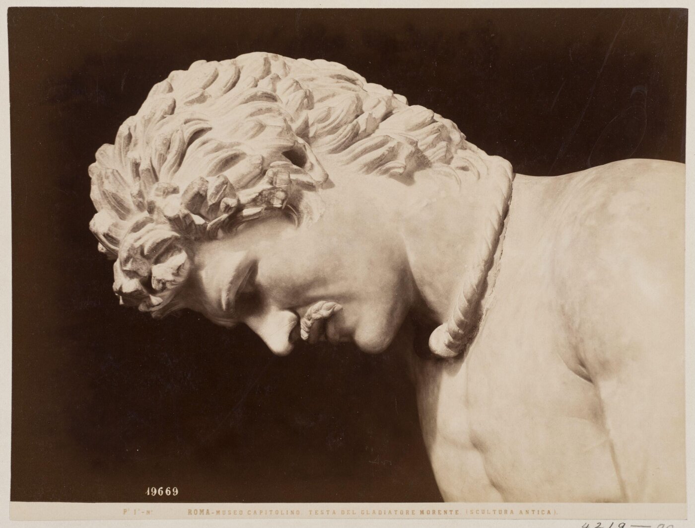 Fratelli Alinari, Photograph