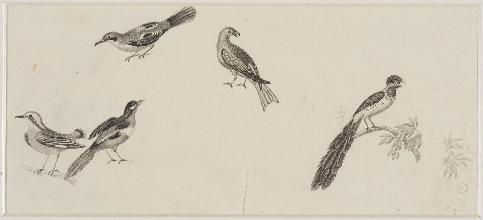 Drawing, c. 18th century - 19th century