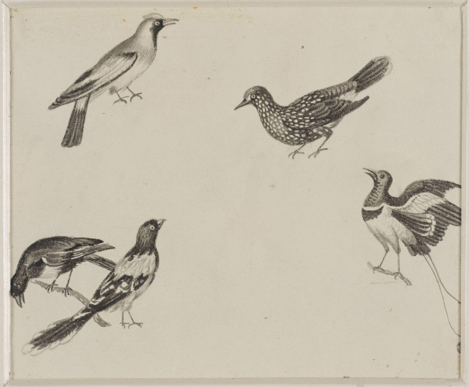 Drawing, c. 18th century - 19th century