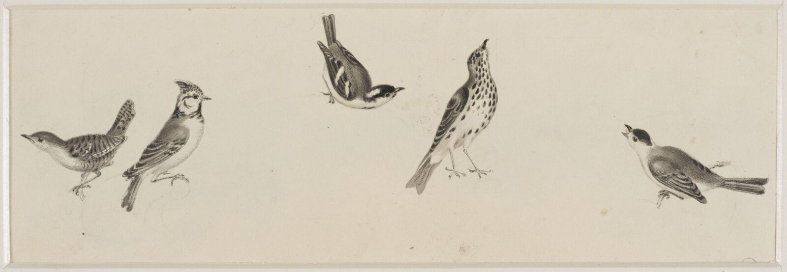 Drawing, c. 18th century - 19th century