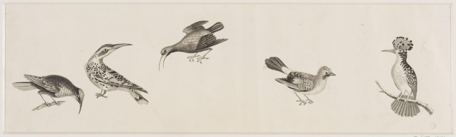 Drawing, c. 18th century - 19th century