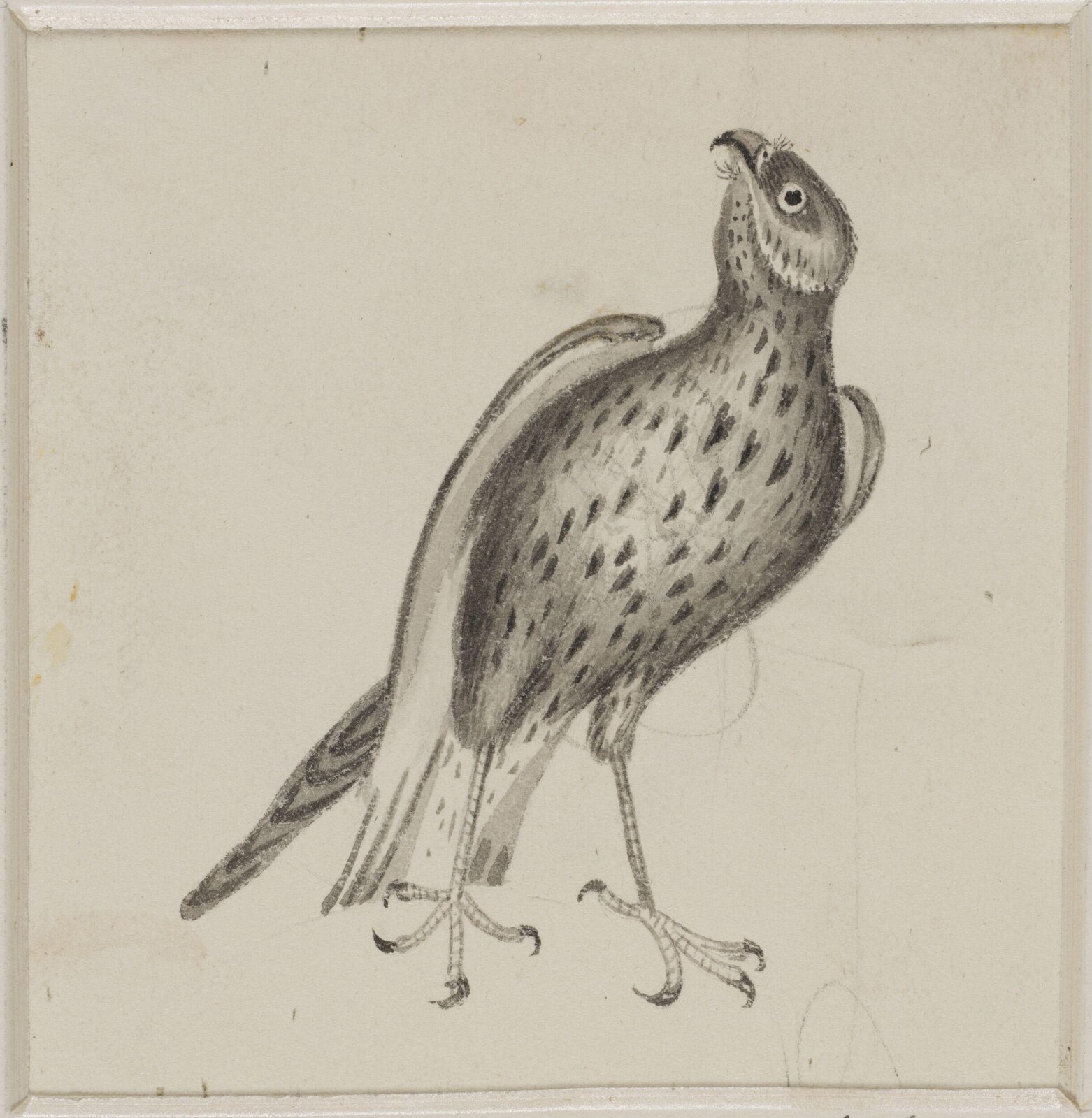 Drawing, c. 18th century - 19th century