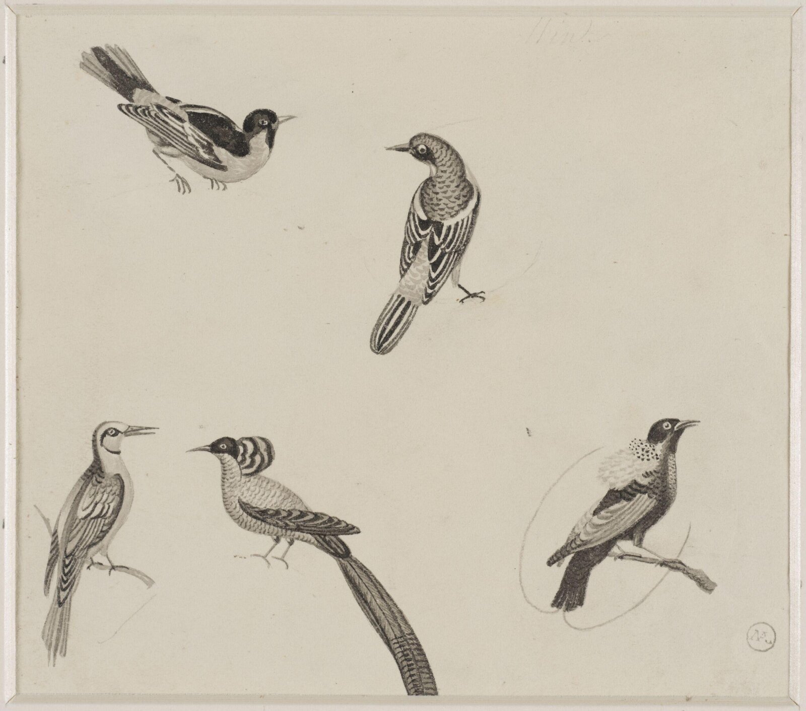 Drawing, c. 18th century - 19th century