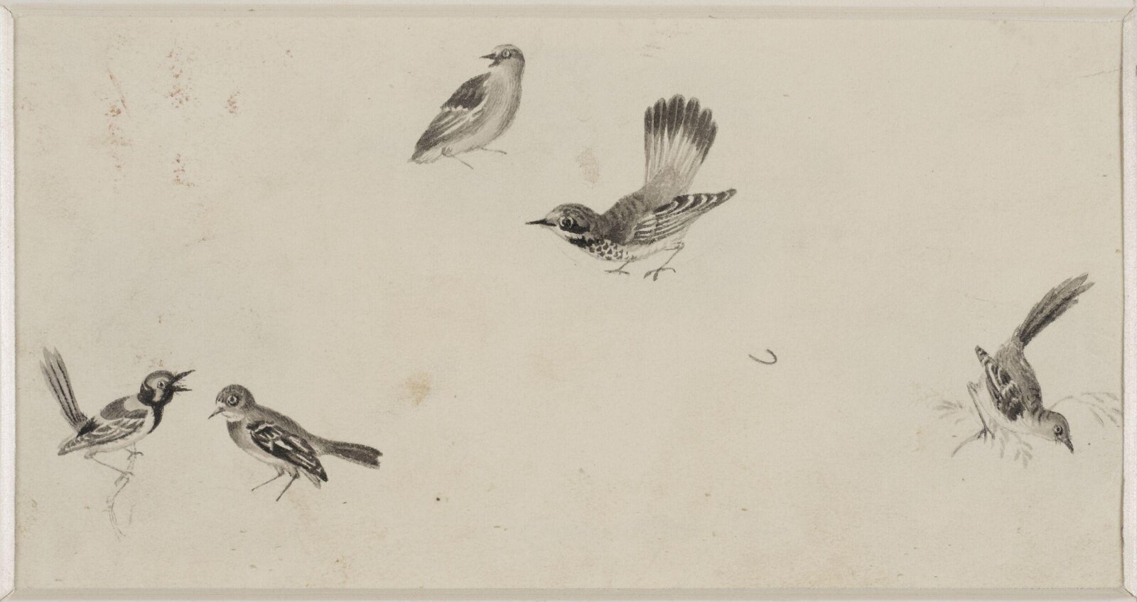 Drawing, c. 18th century - 19th century