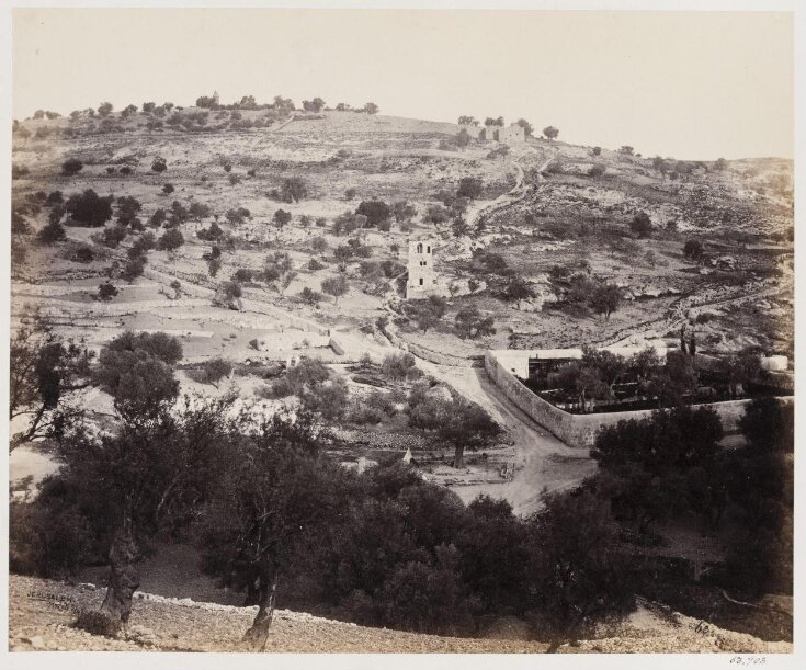 Garden of Gethsemane, Jerusalem top image
