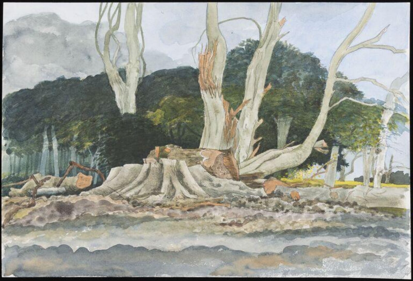 After the Gale 1, Raymond Spurrier, 1987