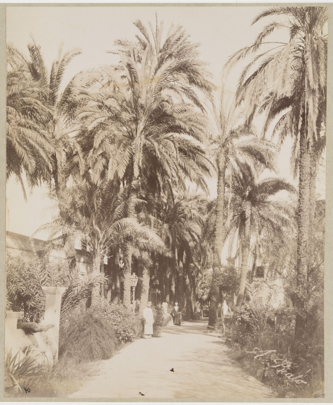 Unknown, Photograph