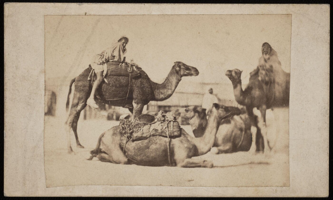 Unknown, Photograph