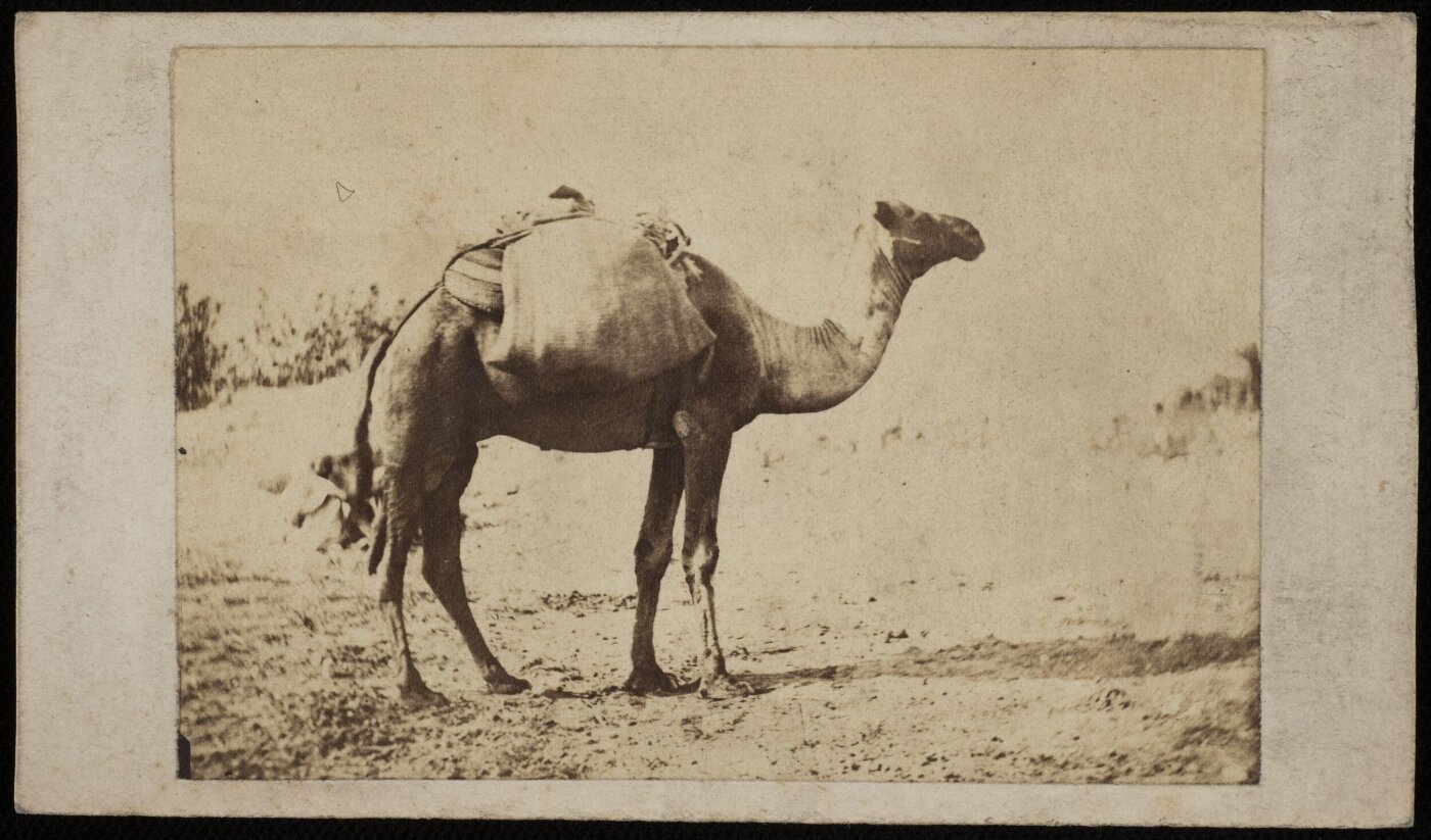 Unknown, Photograph