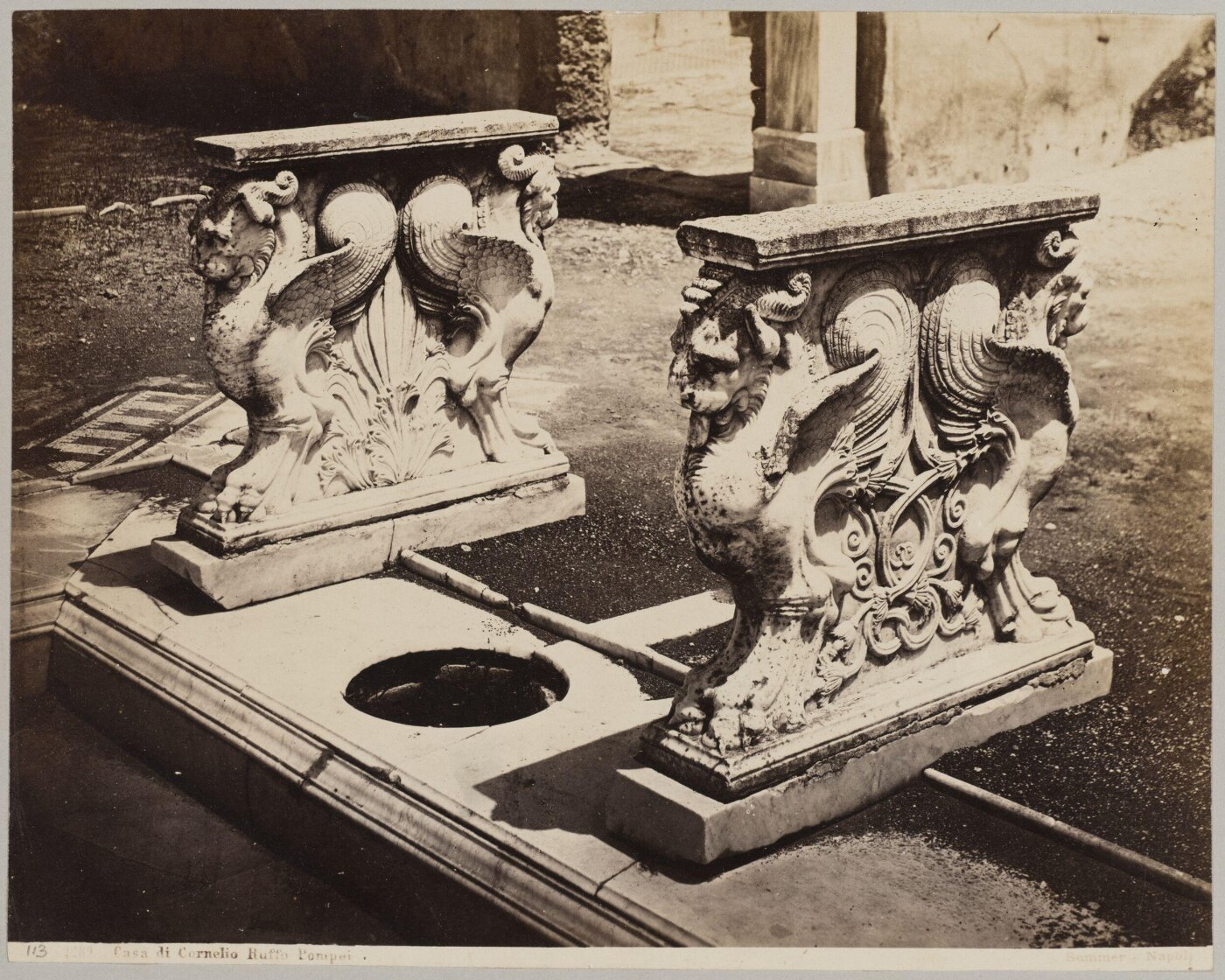 unknown, Photograph