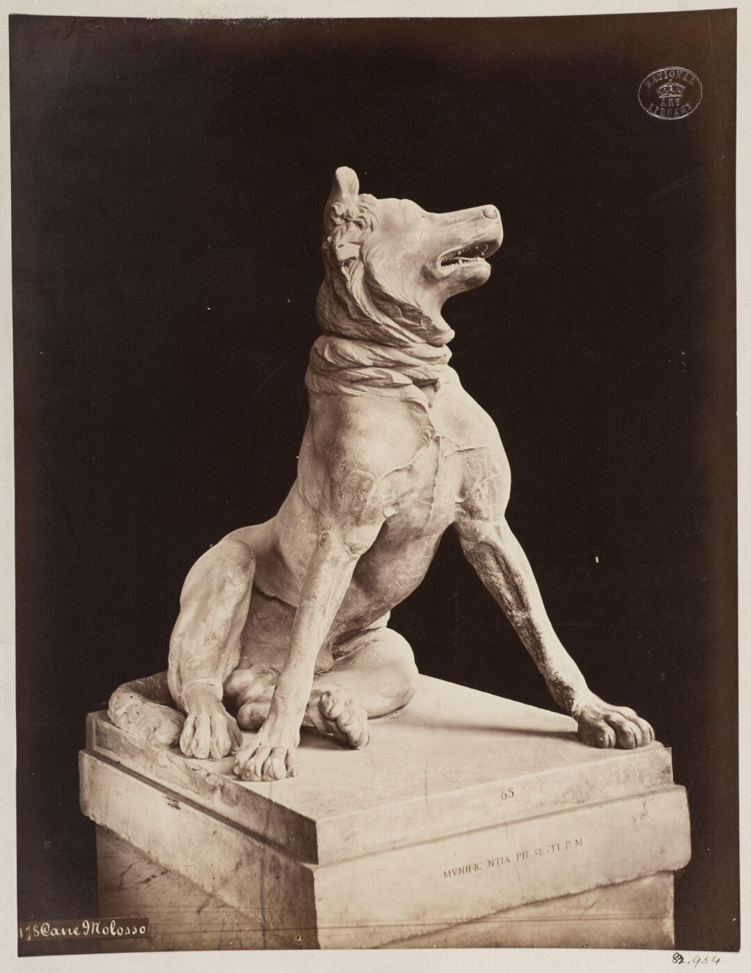 unknown, Photograph