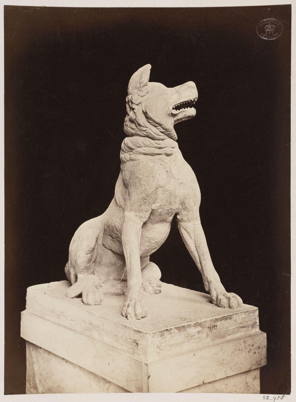 unknown, Photograph