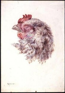 Head of a dead hen thumbnail 1