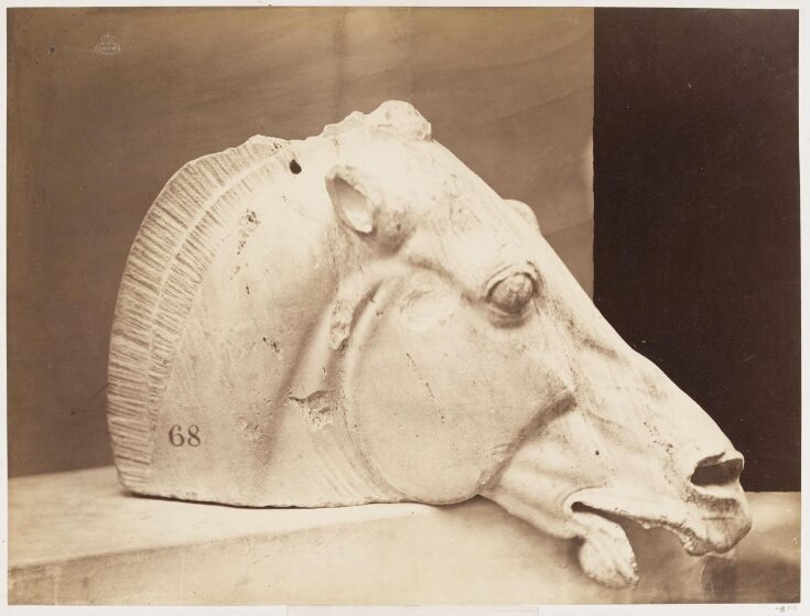 Head of one of the horses of the car of Silene top image
